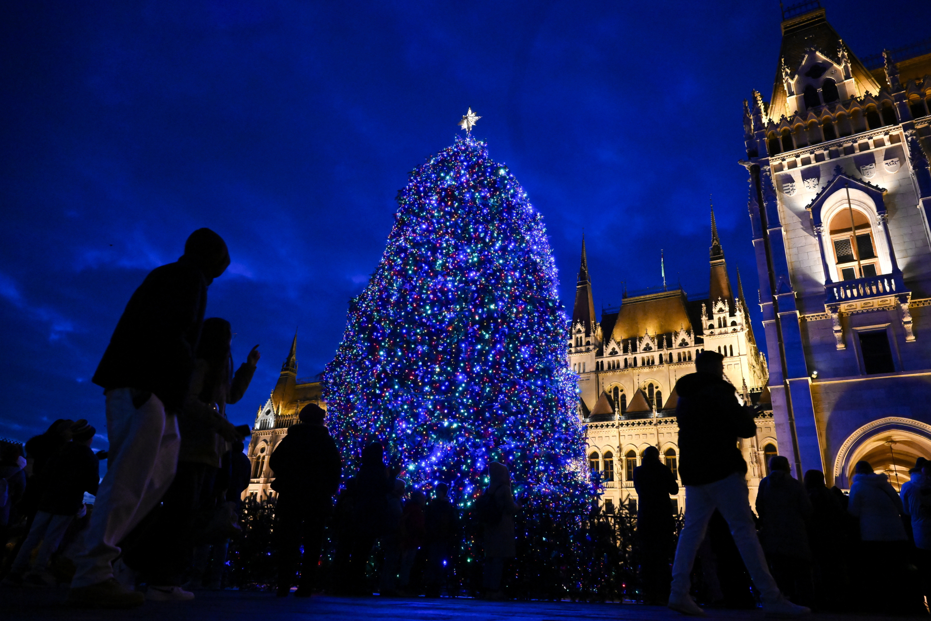 Ország Karácsonyfája